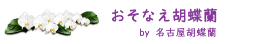 おそなえ胡蝶蘭 おそなえ胡蝶蘭 by 名古屋胡蝶蘭 は、名古屋胡蝶蘭によるお供えご用途専用のサイトです。お供え用の胡蝶蘭を より簡単にご注文いただけるようにしてあります。お供え用にラッピングをして、札もお供え用のものとなります。